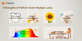 PalFish Lamp [Pre-order 10%off]