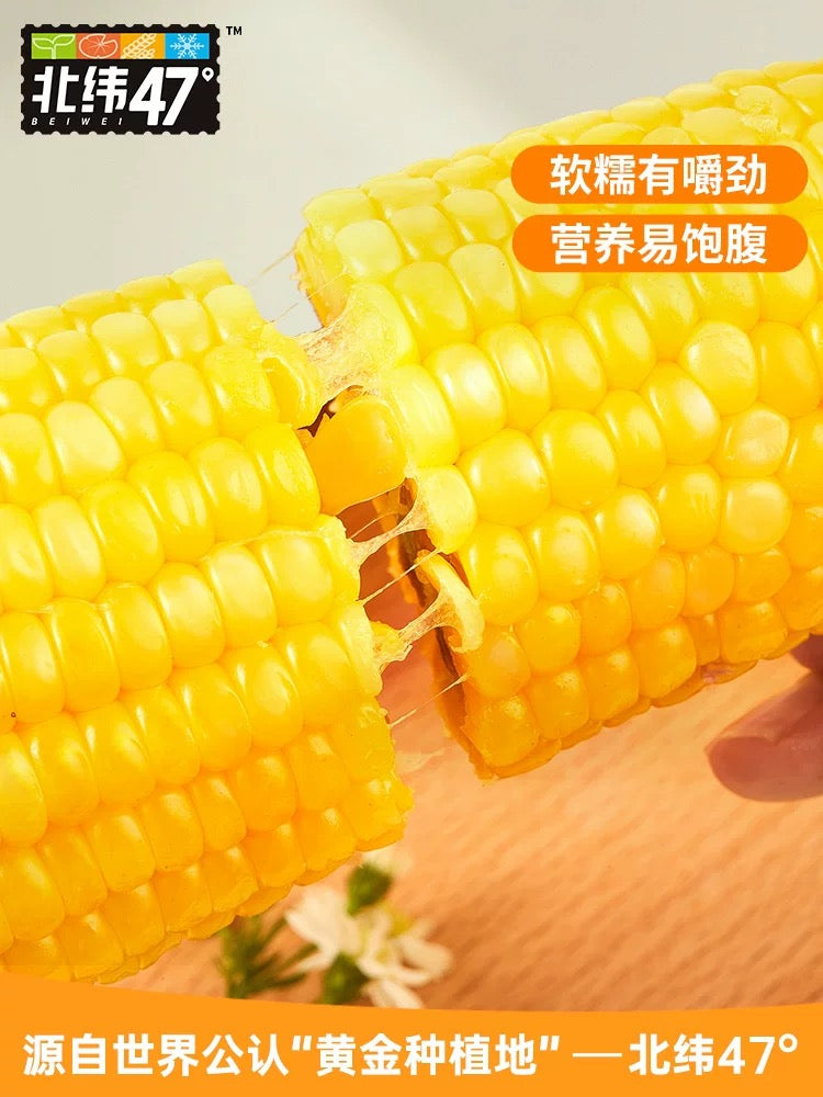 Beiwei 47° Corn - Pinkyy