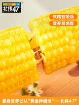 Beiwei 47° Corn - Pinkyy