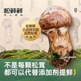 【火爆单品】松鲜鲜金标松茸一品鲜 580g